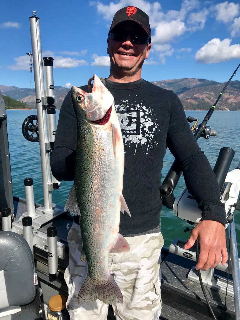 Big fish are biting on Shasta lake!