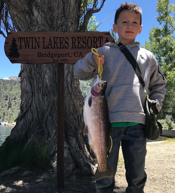 Twin Lake Lower Fish Report - Bridgeport, CA (Mono County)