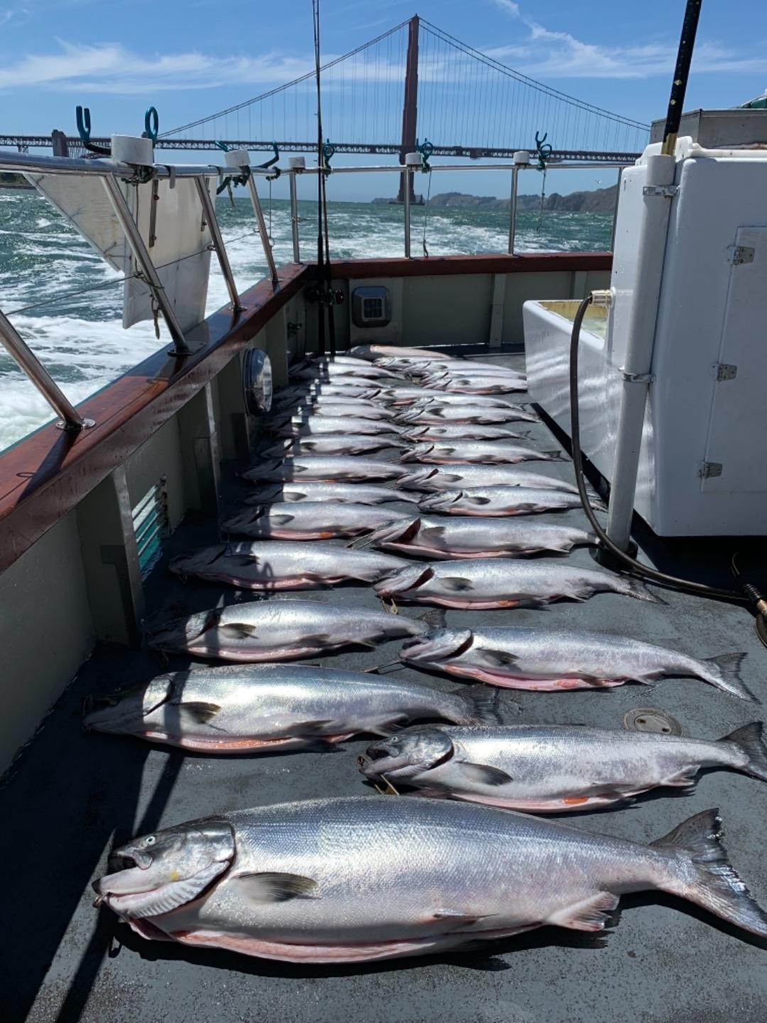 15 limits of salmon for the Lovely Martha. 