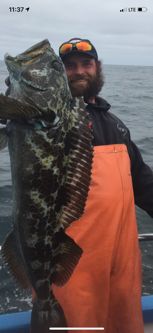 Wide open fishing for rock fish