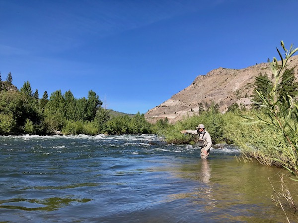 Truckee River Fish Report