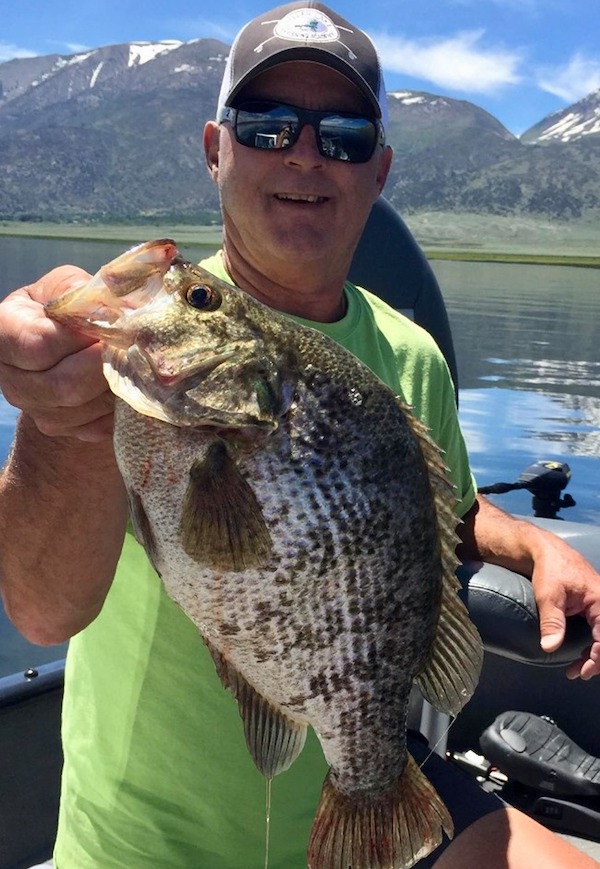 Crowley Lake Fish Report - Mammoth Lakes, CA (Mono County)