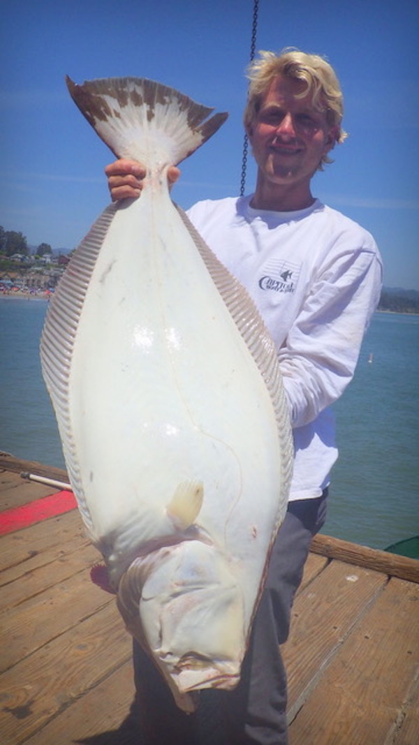 Santa Cruz Fish Report Saltwater Report Let s Go Fishing