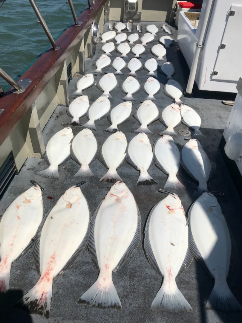 Excellent halibut fishing on our 4th of July half day  