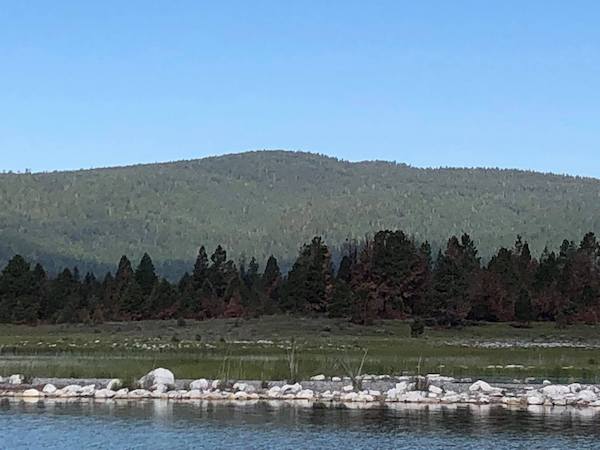 Eagle Lake Fishing Report