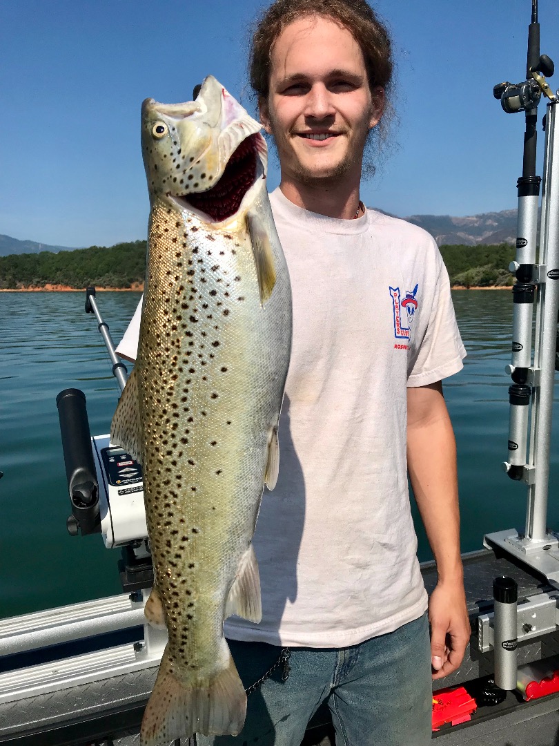 Shasta Lake brutes are showing!