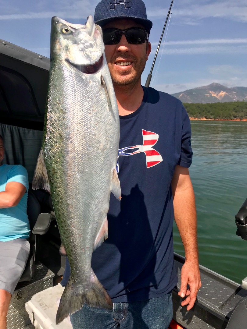 Shasta lake trout are going deeper!