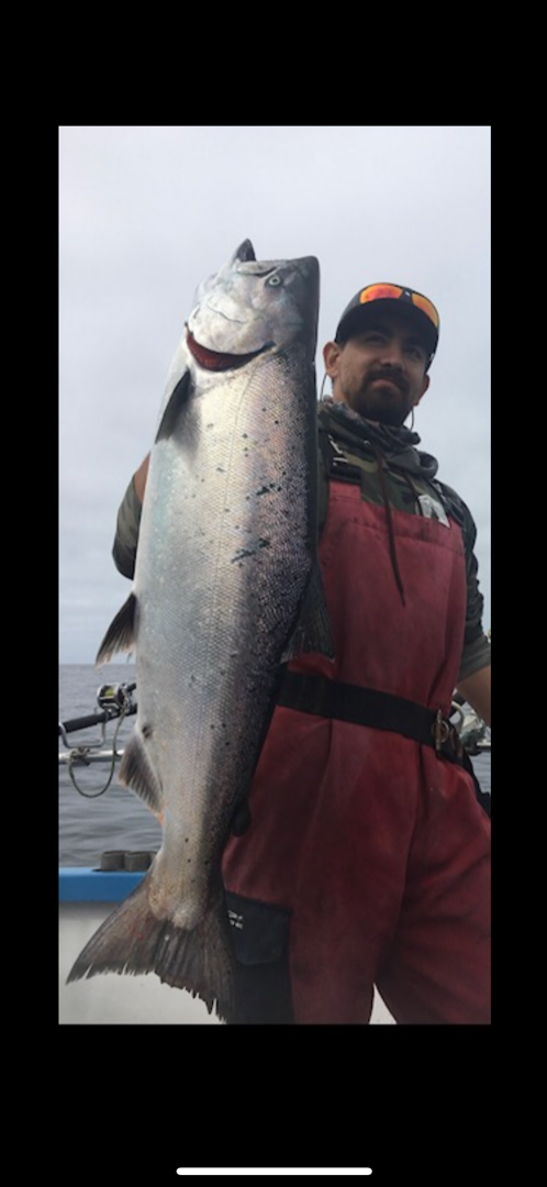 Salmon fishing lite  load