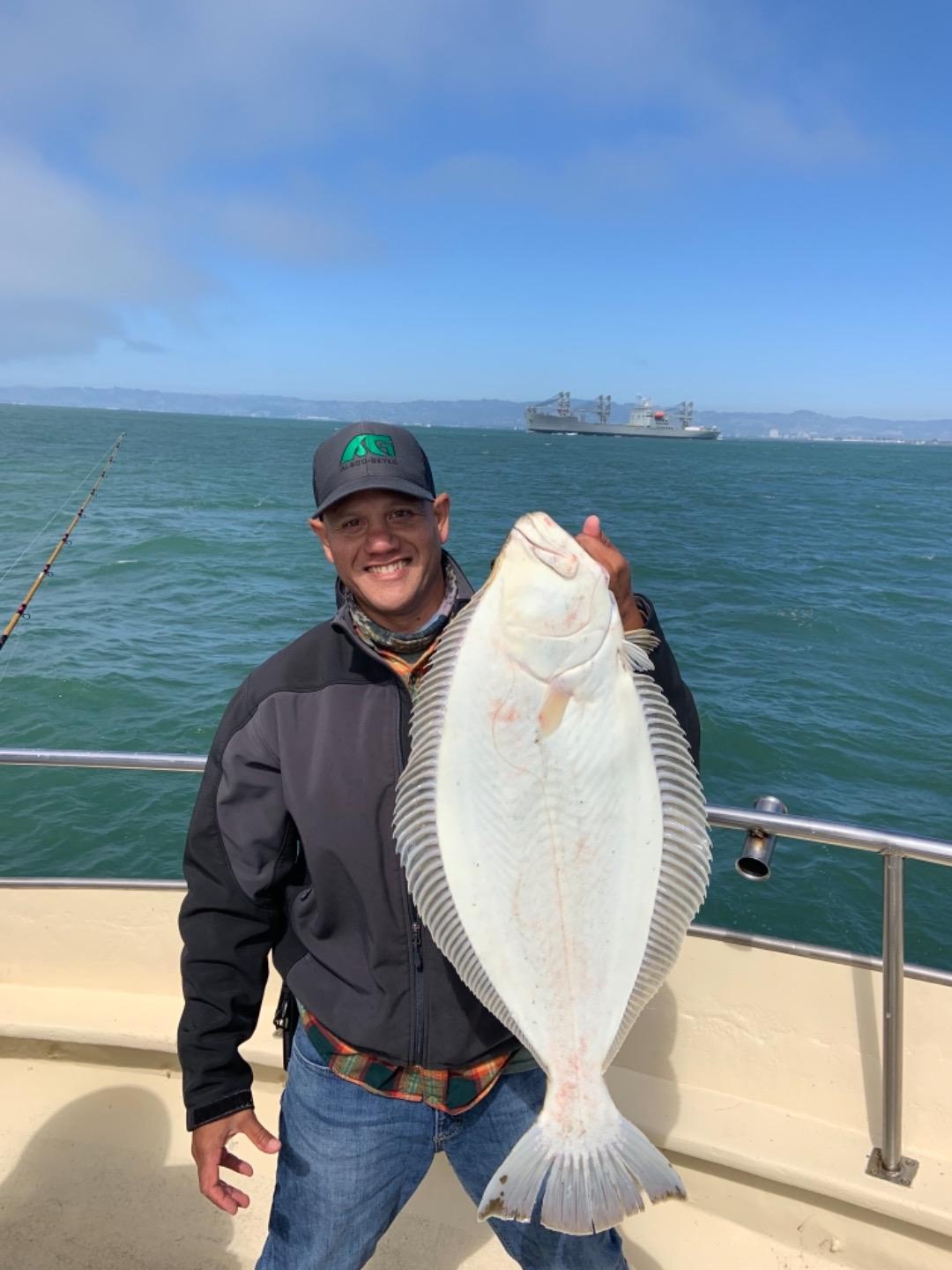 Halibut in the central bay