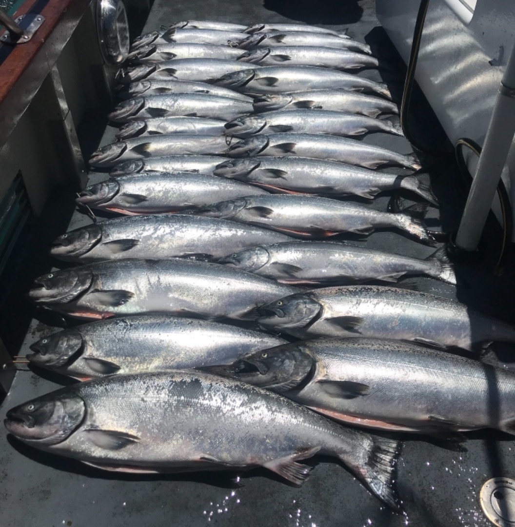 Salmon Limits aboard the Lovely Martha. 