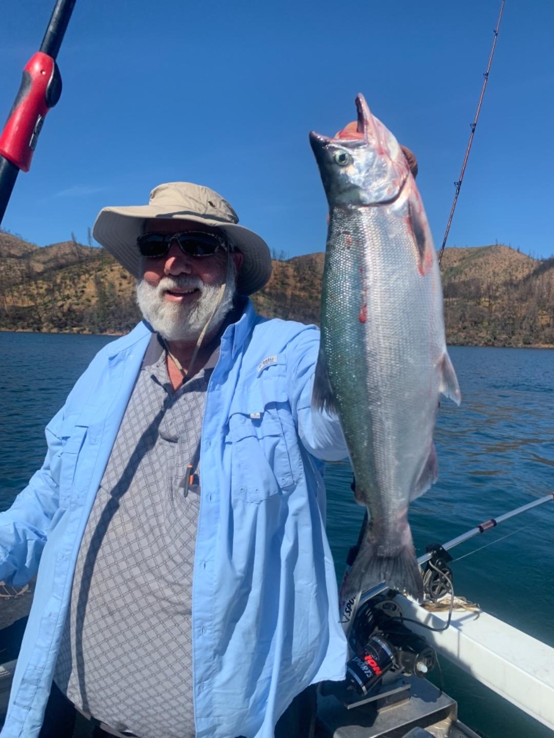 Kokanees on whiskeytown lake!