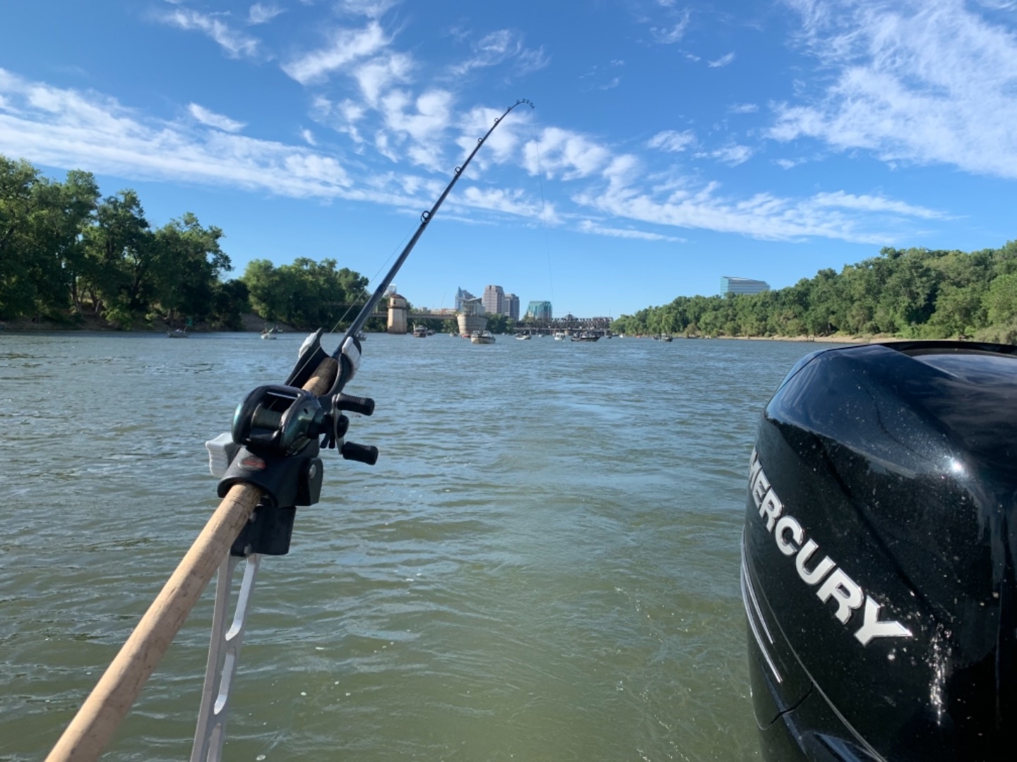 Salmon Sacramento River!