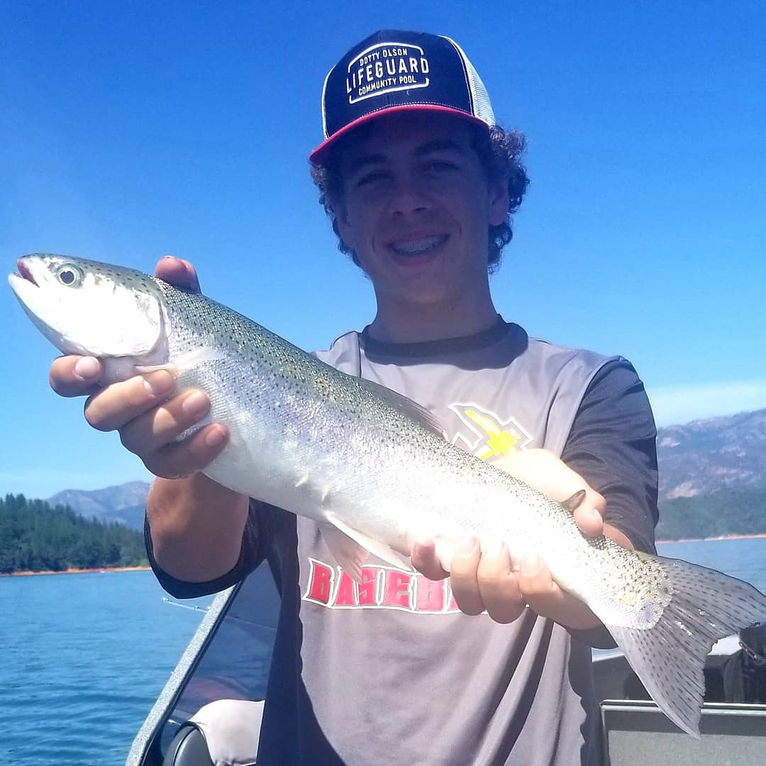 Hungry Shasta Lake Trout