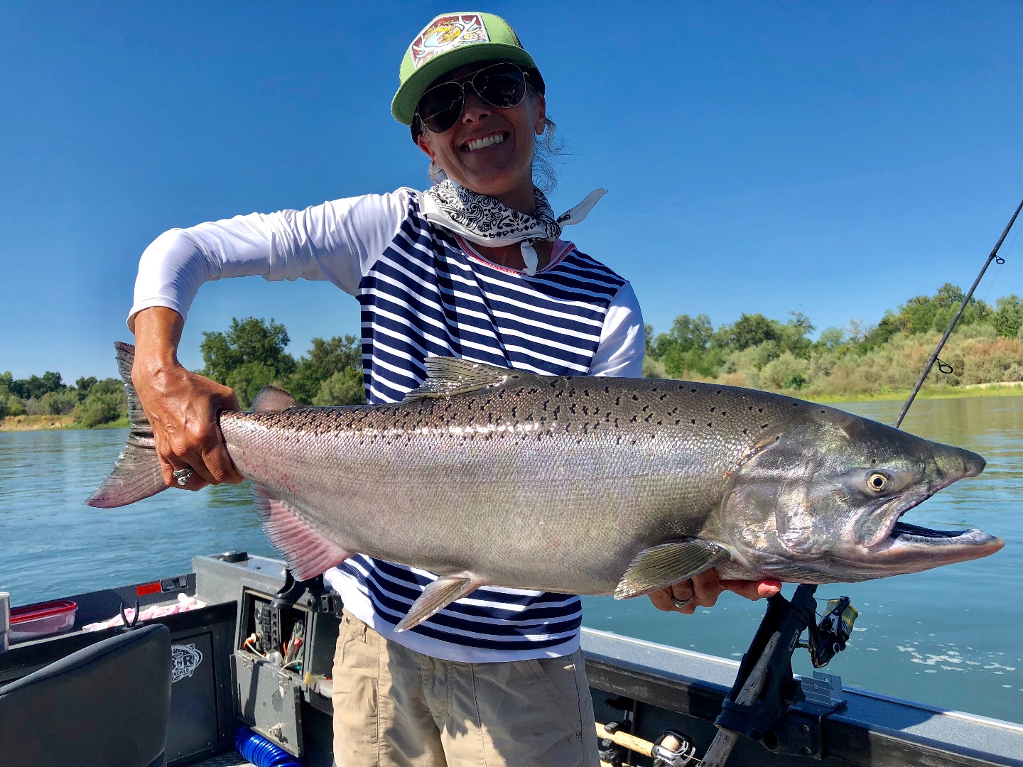 Big Sacramento River salmon moving in!