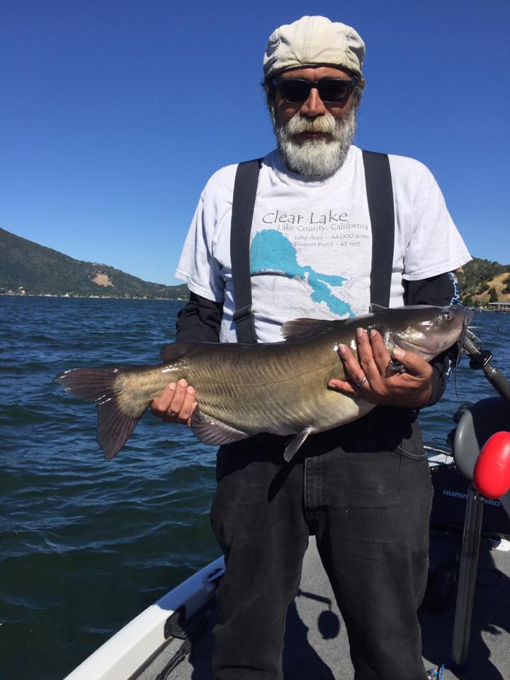 13 lb. Catfish on Clear Lake 