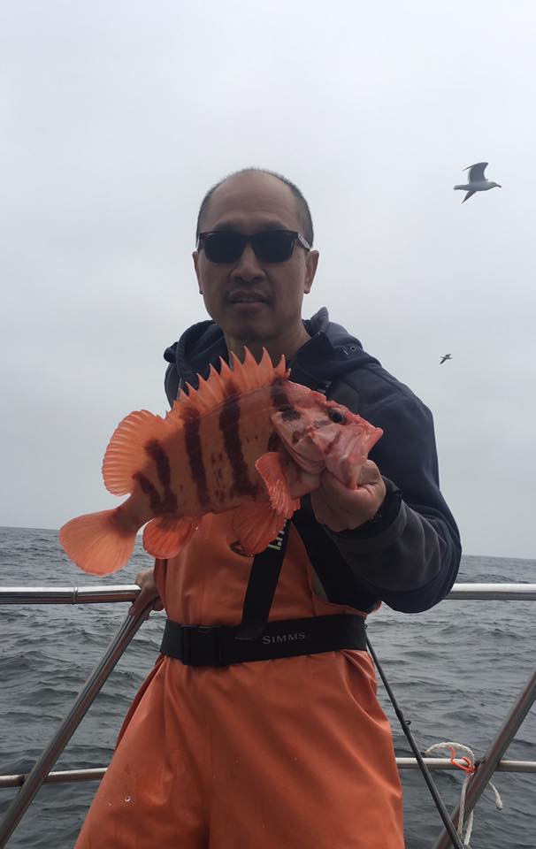 Sea Wolf Fishing Report