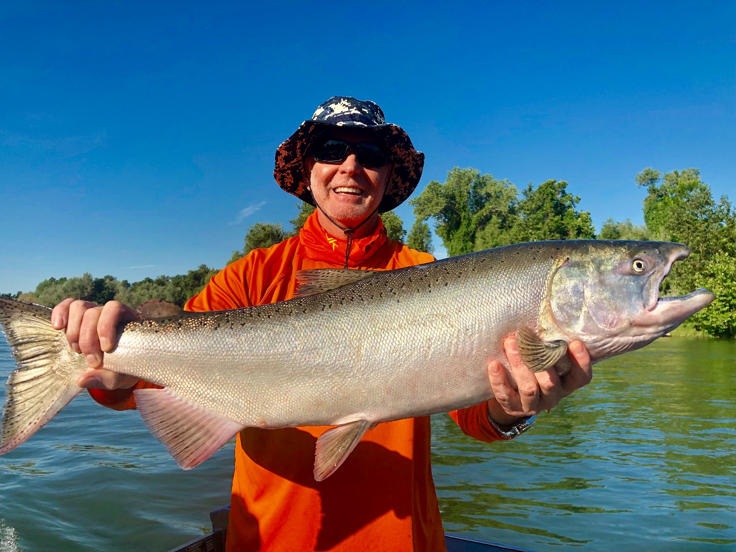 Sacramento River Kings are in!