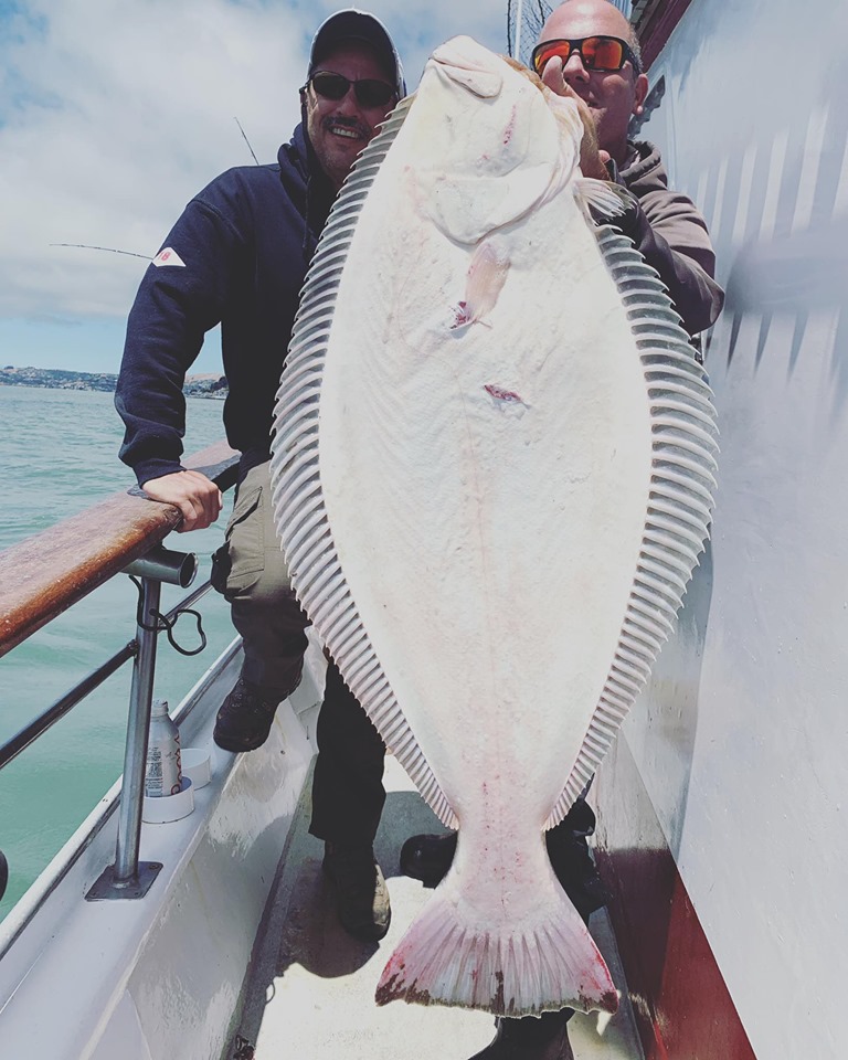 What A Day of Potluck Fishing