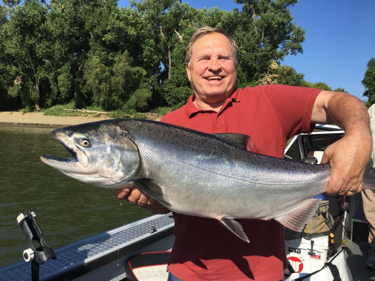 Sacramento River salmon are trickling in.