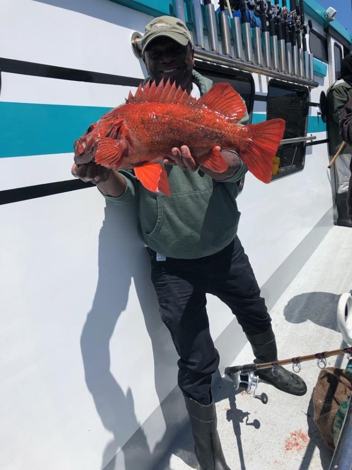 Limits of Rockfish