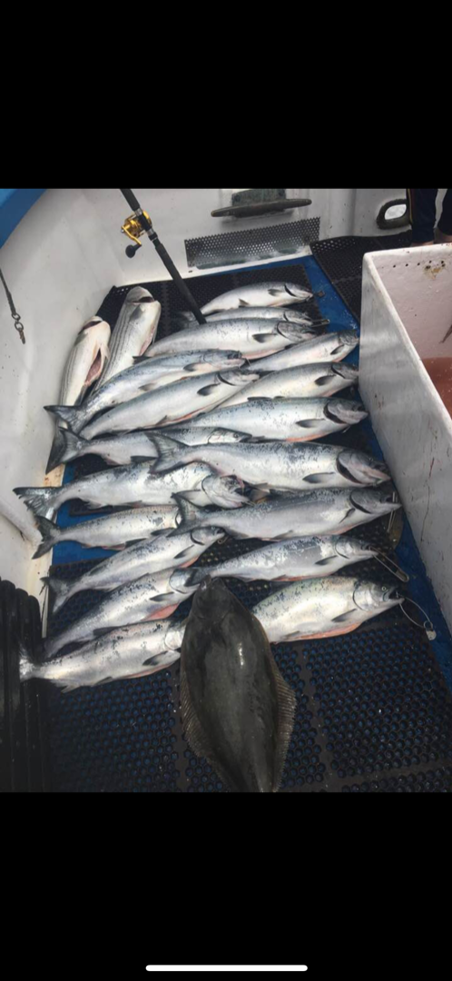 Salmon fishing at Pedro 7-27-19