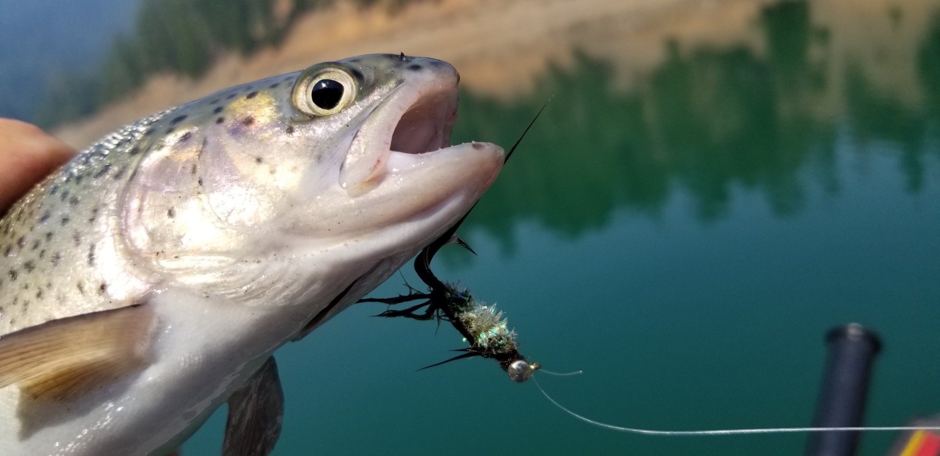 McCloud Reservoir has been Super Duper