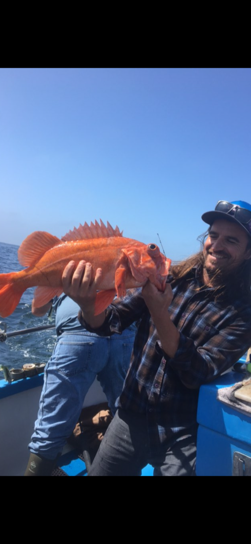 Bomber rock fishing 