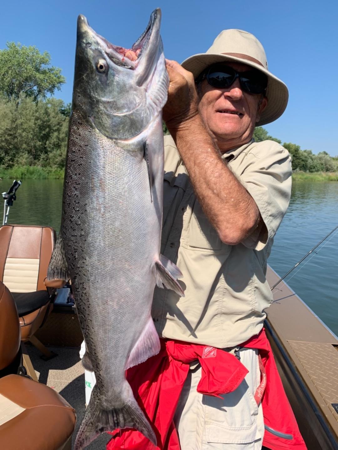 Big salmon in Redbluff!!