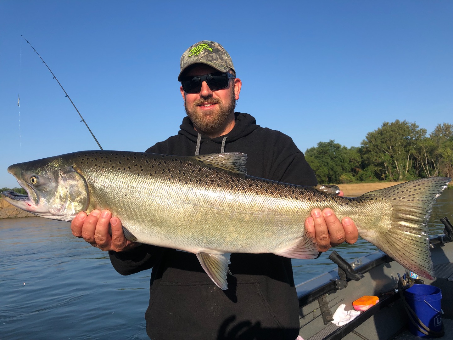 Sacramento River King salmon looking good!
