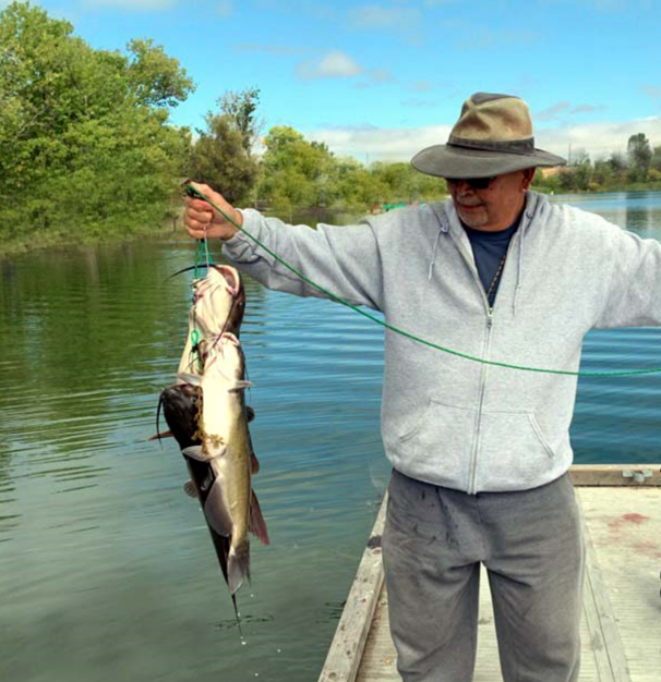 Shadow Cliffs Reservoir - Shadow Cliffs Fishing Report