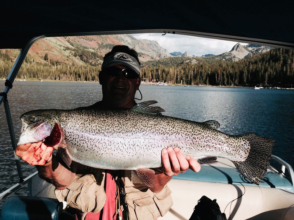 Lake Mary Fish Report Mammoth Lakes, CA (Mono County)