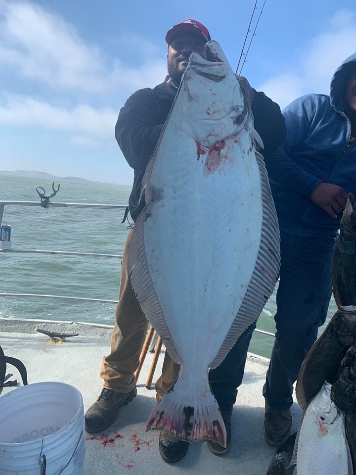 California Dawn Fishing Report