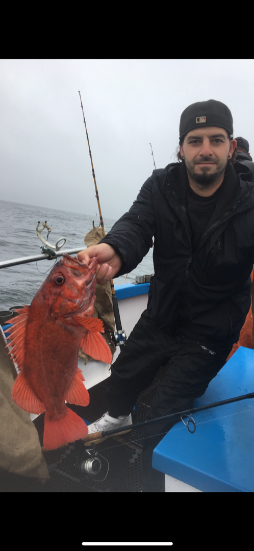 Shallow water rock fishing 