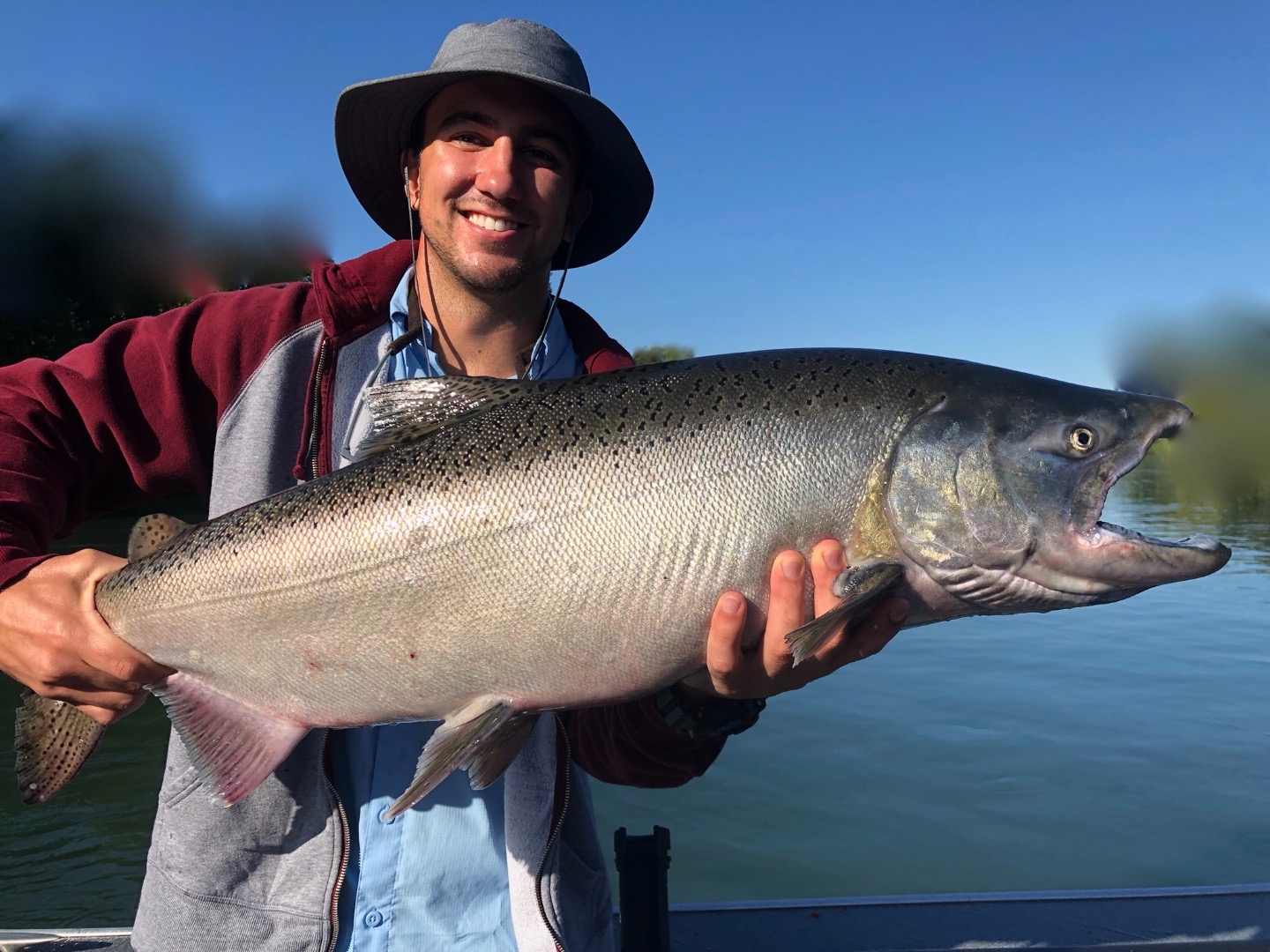 Sac River Kings continue to pour into the system!