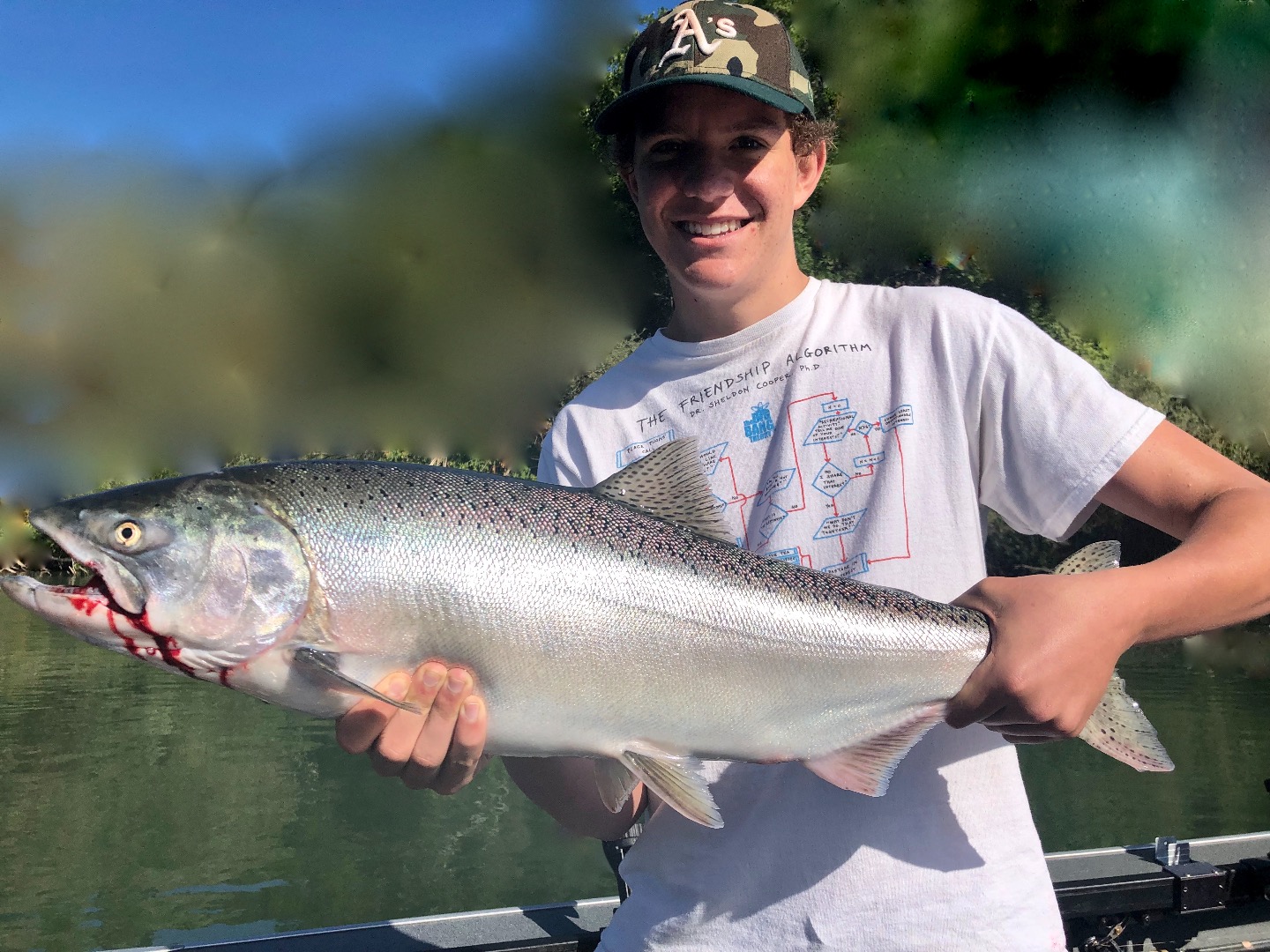 Sacramento River salmon are on the run!