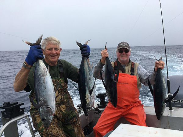 Tuna fever hits the North Coast