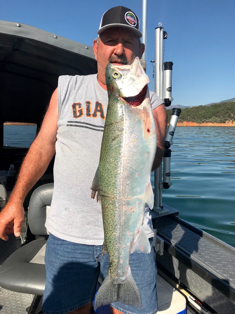 Shasta Lake taking a back seat to river salmon soon!