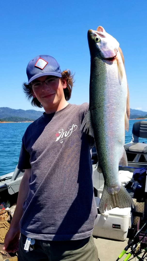 Fat Shasta Lake Trout 