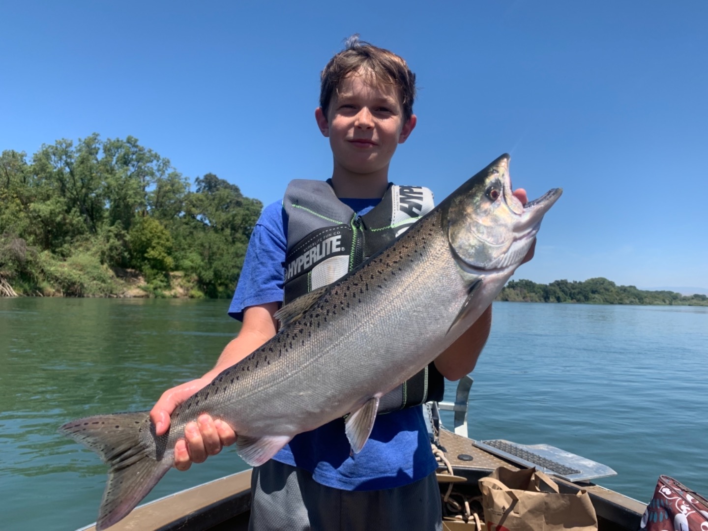 King Salmon Woodson Bridge 