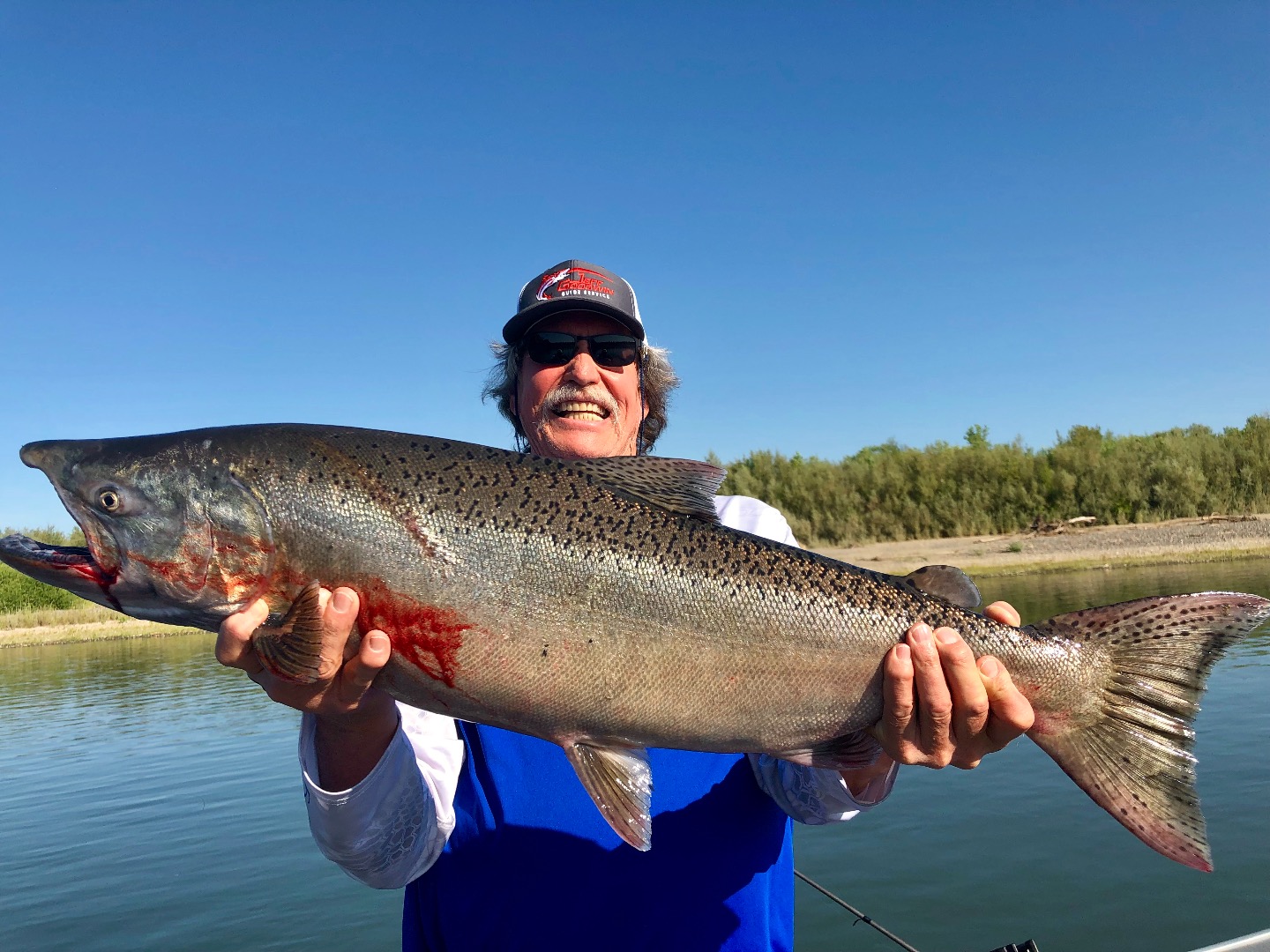 Fishing Sacramento River King salmon big and bright!