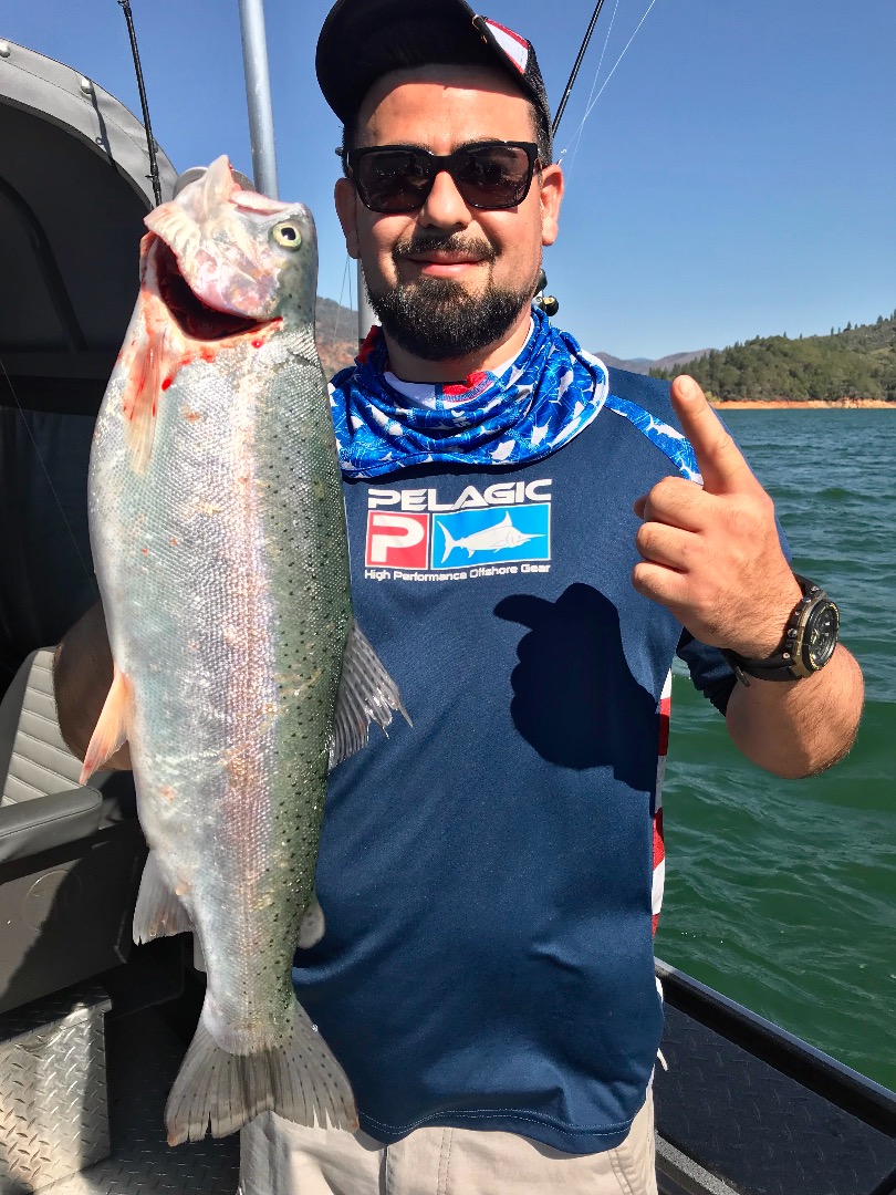 Hot bite on Shasta in the hot sun!