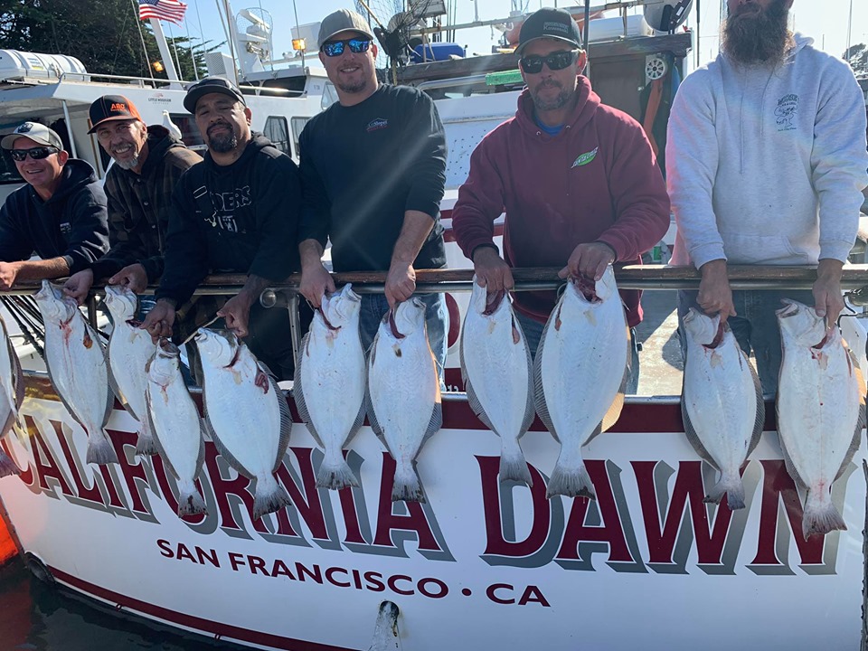 Halibut Fishing is Wide Open 