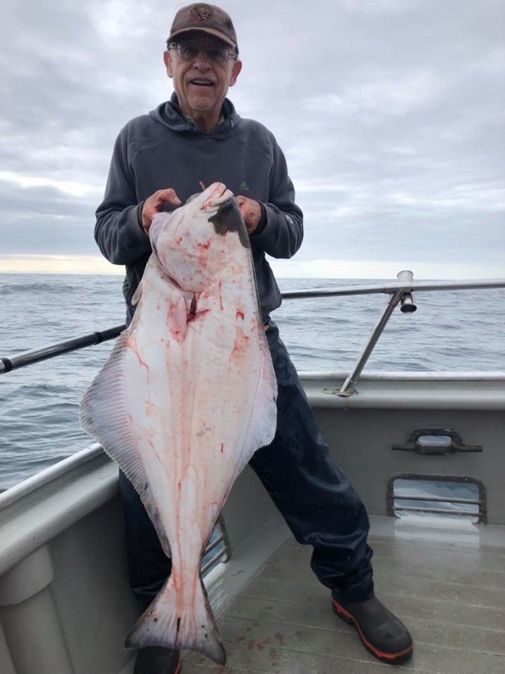 Limits of Halibut