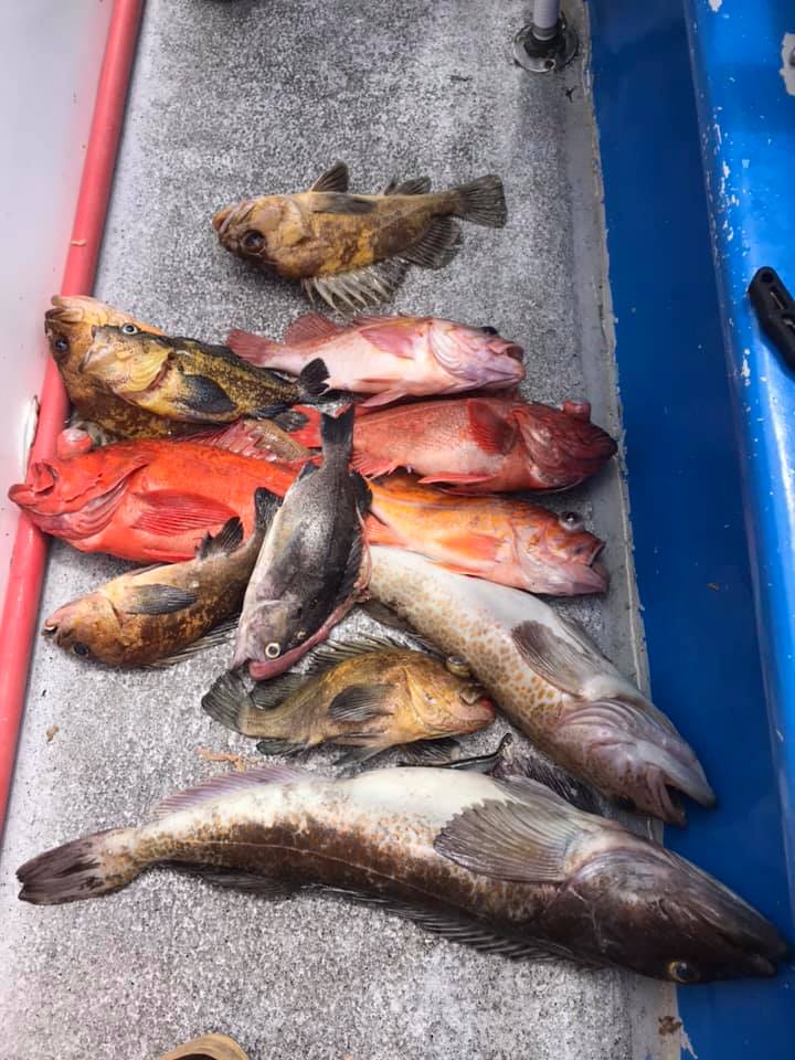 Another Great Rockfish/Lingcod Trip