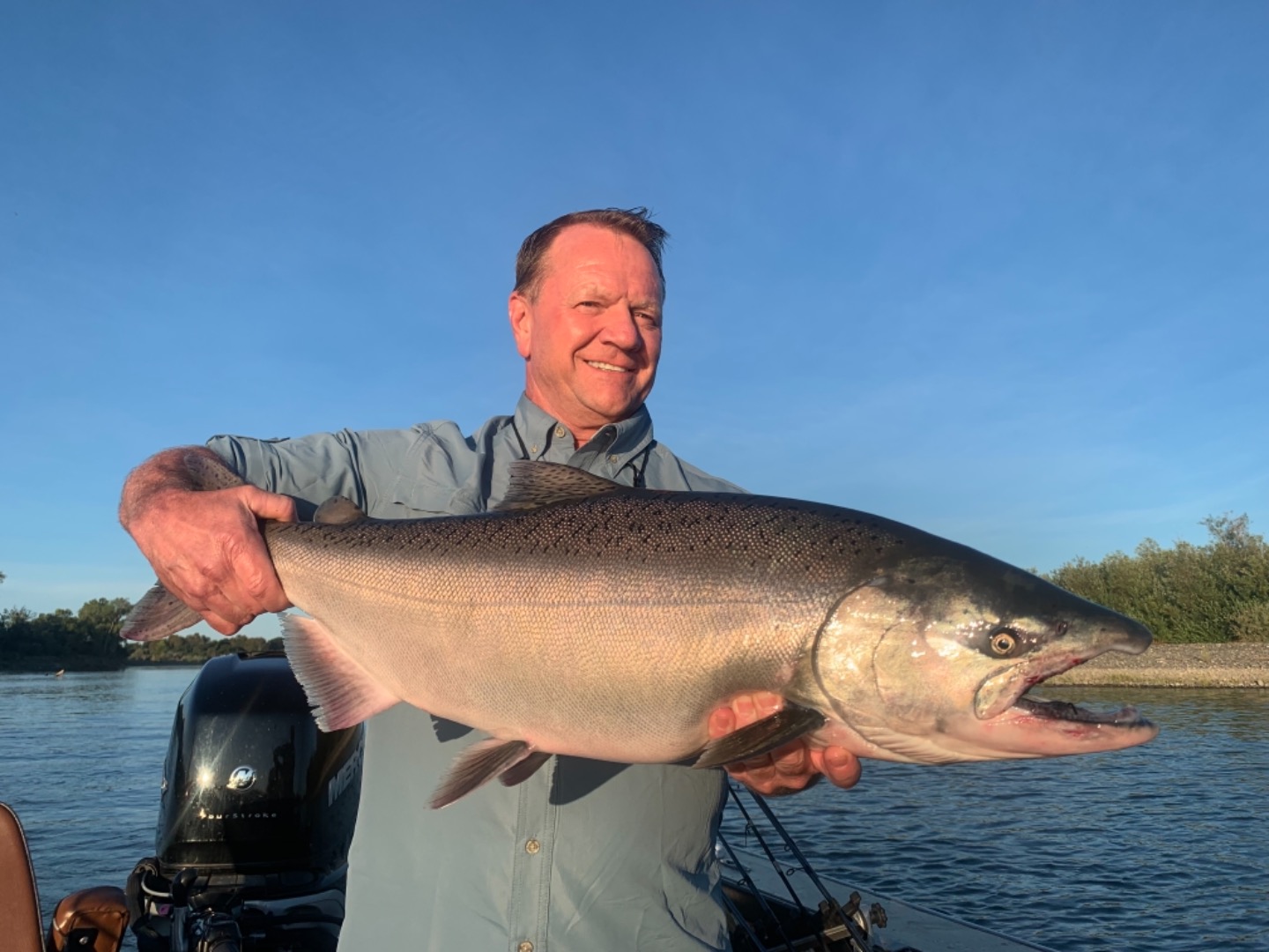 Big king salmon!!