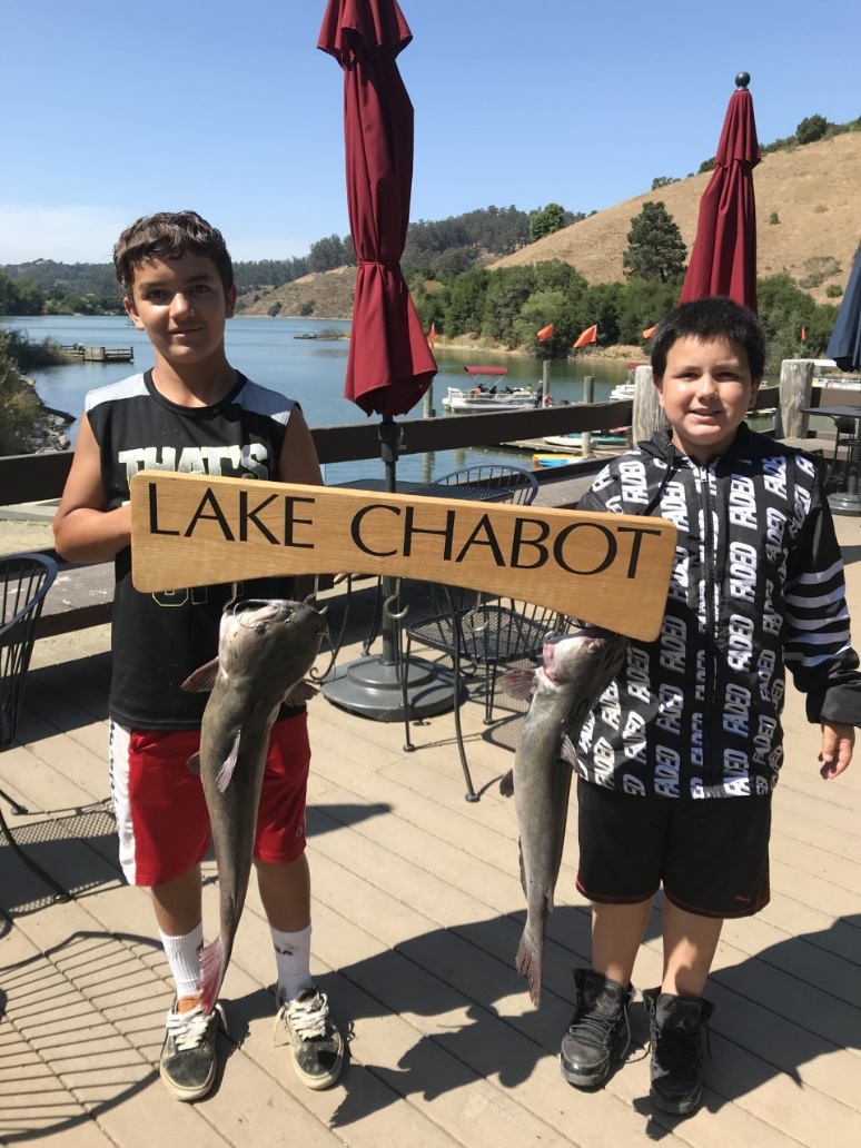 Lake Chabot Fishing Report