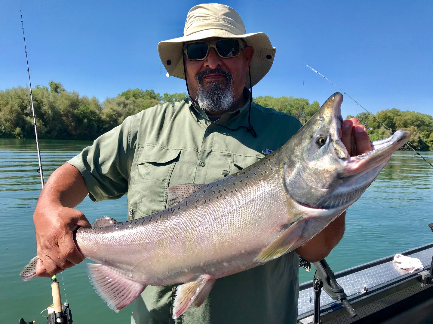 Sacramento River Kings biting plugs and roe!