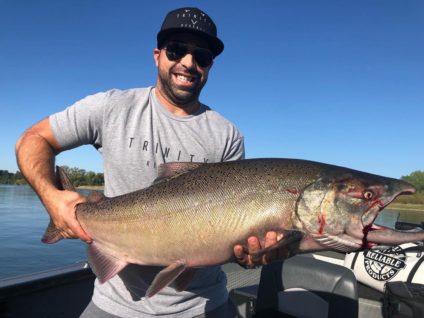 Sacramento River King salmon school moving up river!