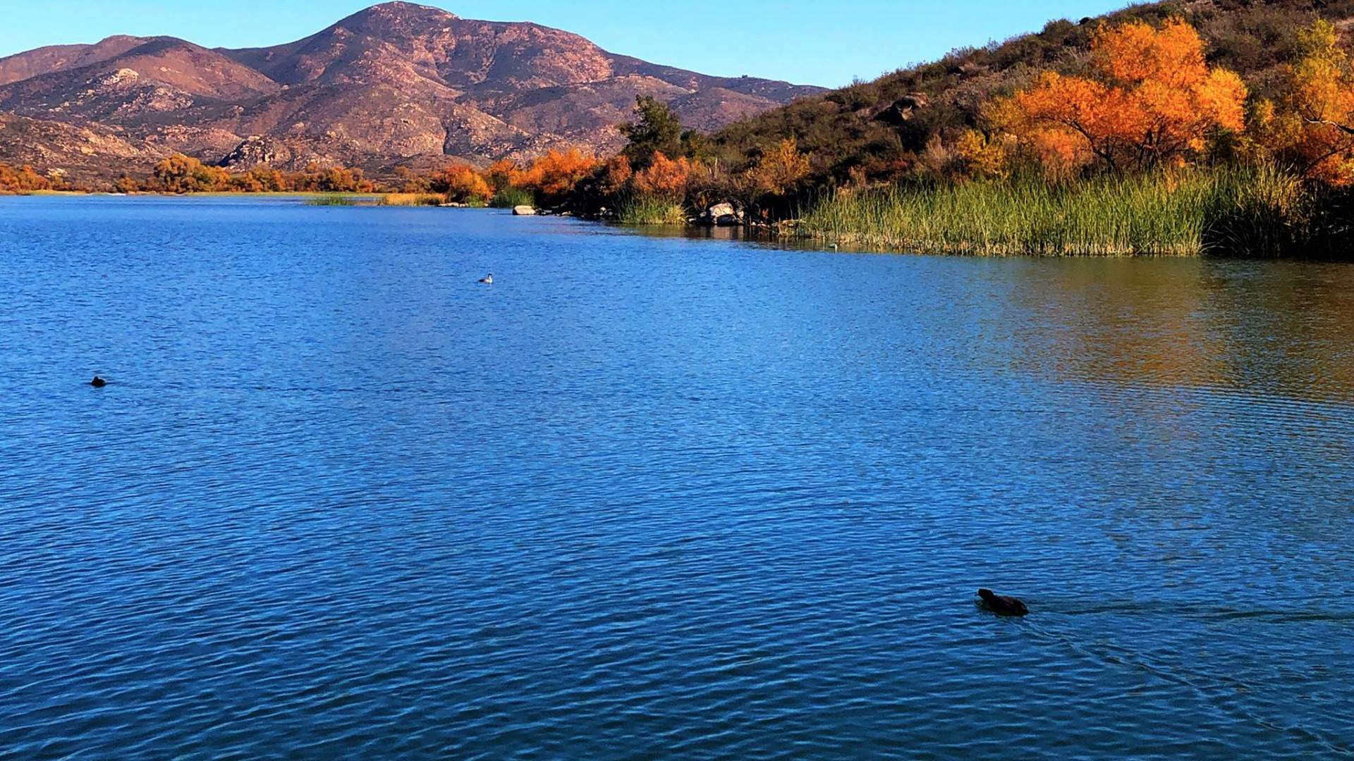 The Splash Zone at Lake Skinner - California Waters