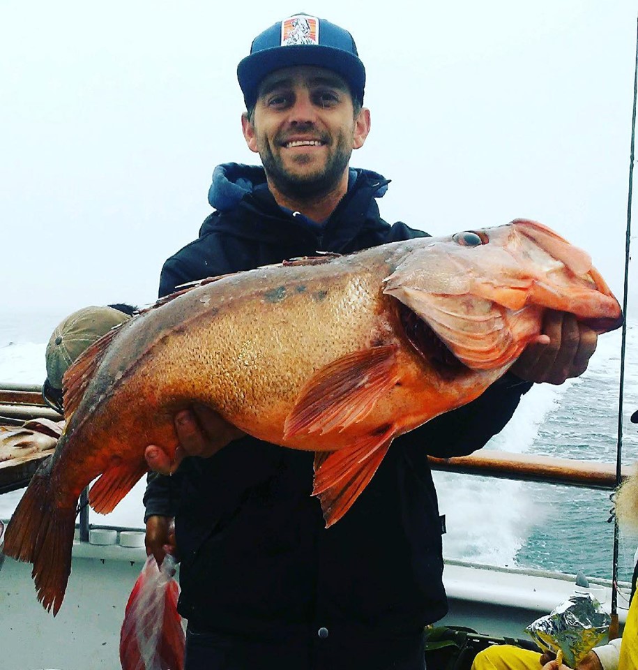 Quick Limits of Rockfish With Some Halibut